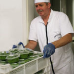 Frisch verpackter Gemüse-Mix