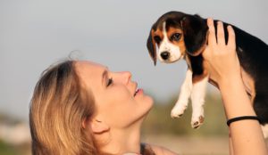 Naturprodukte Karnivor+