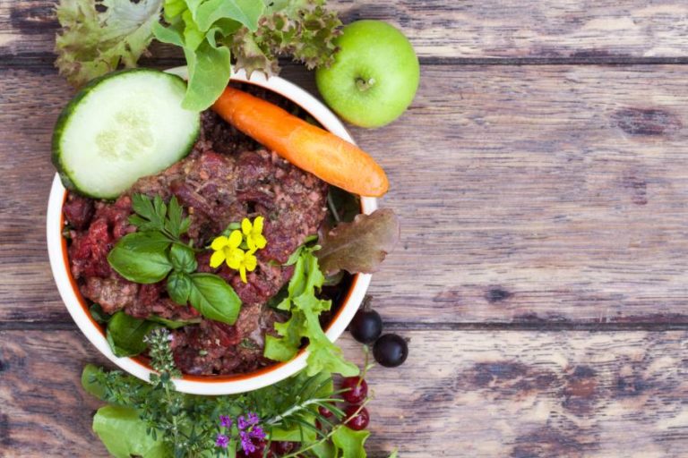 Gesunde Hundeernährung