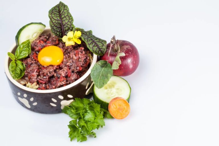 Gesunde Ernährung für Ihren Hund